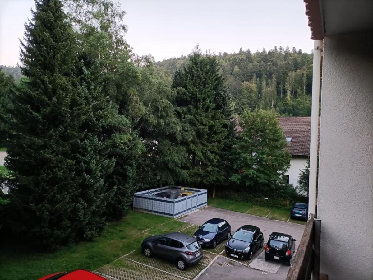 Sonnenkalb Lägenhet Todtmoos Exteriör bild