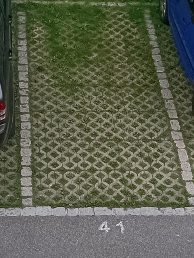 Sonnenkalb Lägenhet Todtmoos Exteriör bild